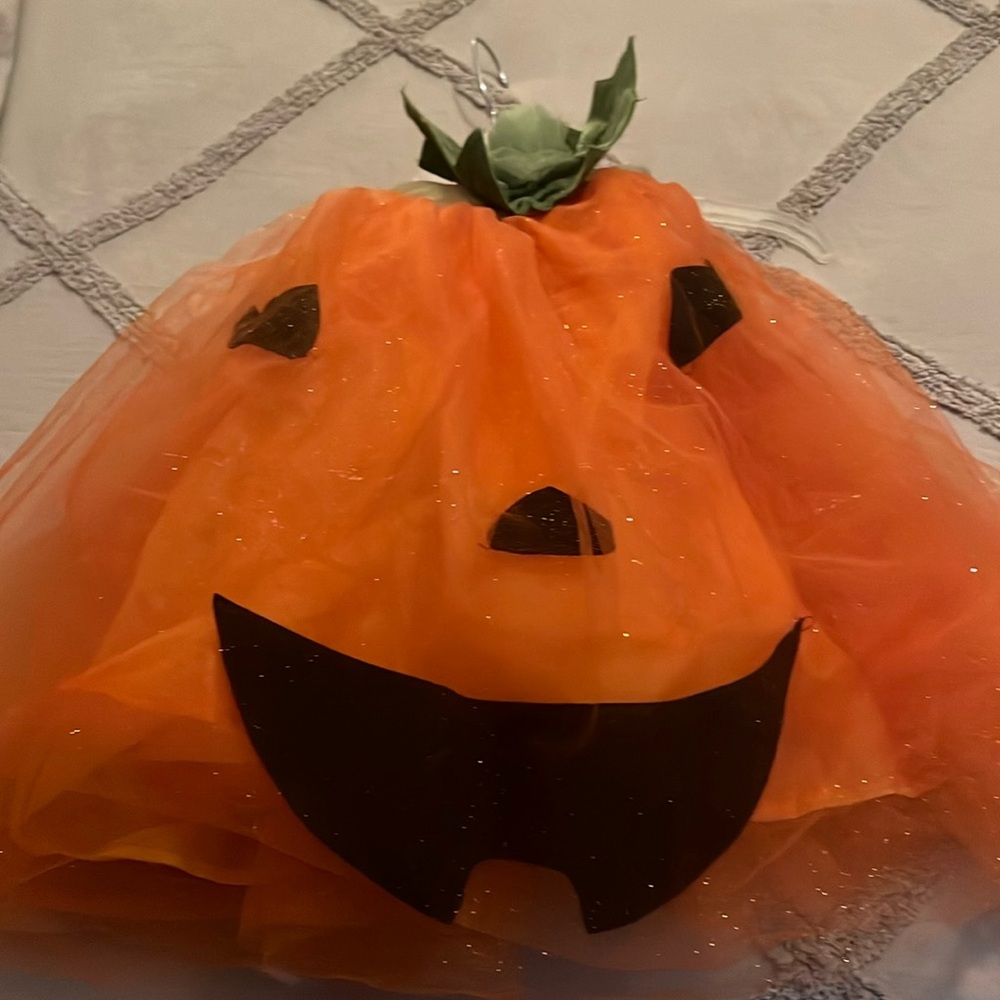 Pottery Barn Light Up Pumpkin Halloween Costume Can fit 2T 3T.